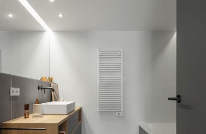 CP Apartment Renovation | David Olmos Arquitectos
