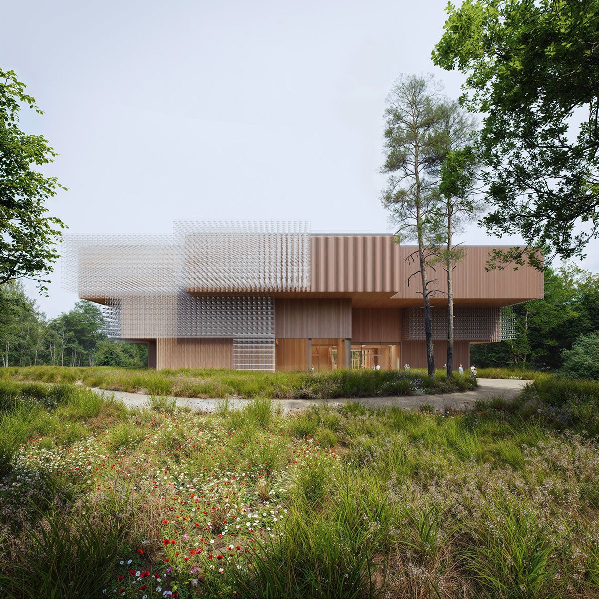 Xylopolis Centre for Wood Art and Science | WXCA