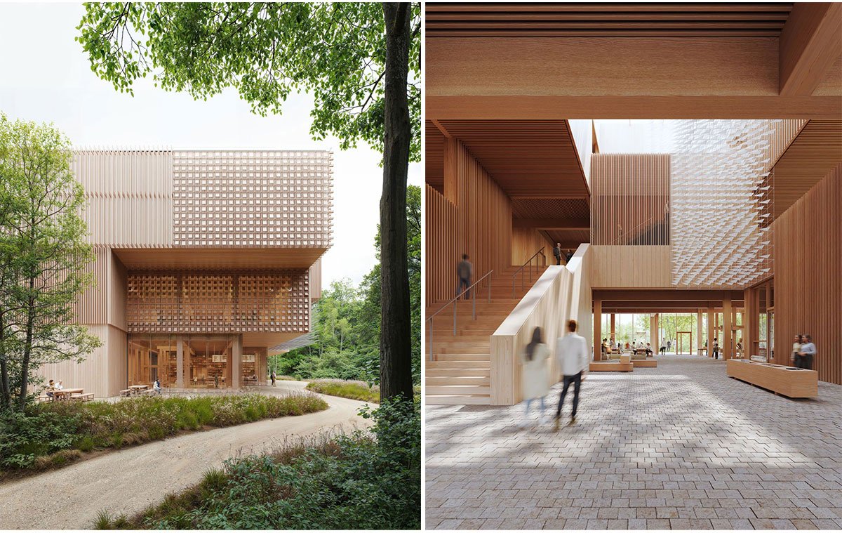 Xylopolis Centre for Wood Art and Science | WXCA