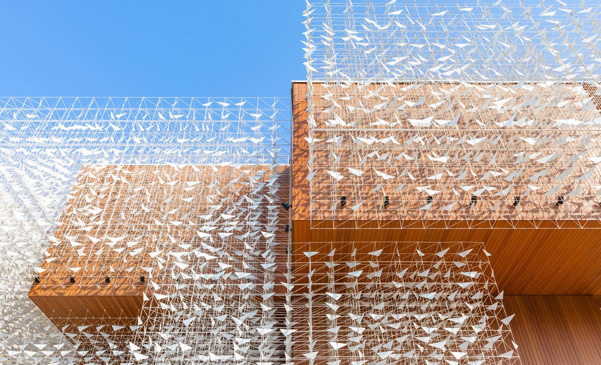 Xylopolis Centre for Wood Art and Science | WXCA