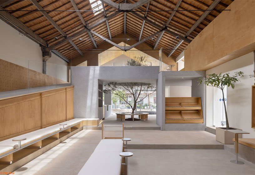 Healing Pets | Informal Design