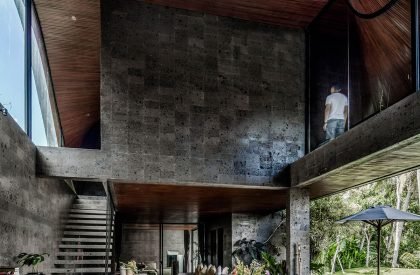 Alpha House | Alexis Dornier