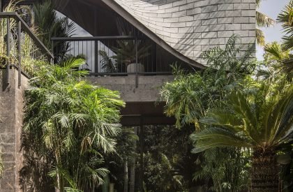 Alpha House | Alexis Dornier
