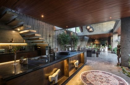 Alpha House | Alexis Dornier