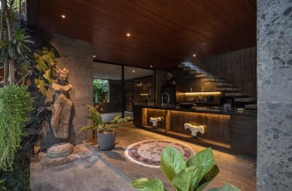 Alpha House | Alexis Dornier