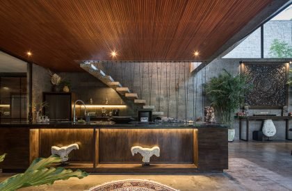 Alpha House | Alexis Dornier