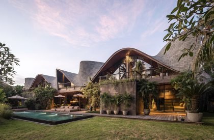 Alpha House | Alexis Dornier