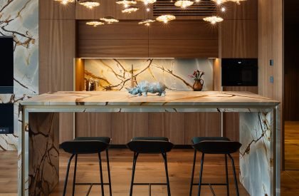 Gold Moon Residence | Šenkýř Architekti