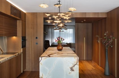 Gold Moon Residence | Šenkýř Architekti