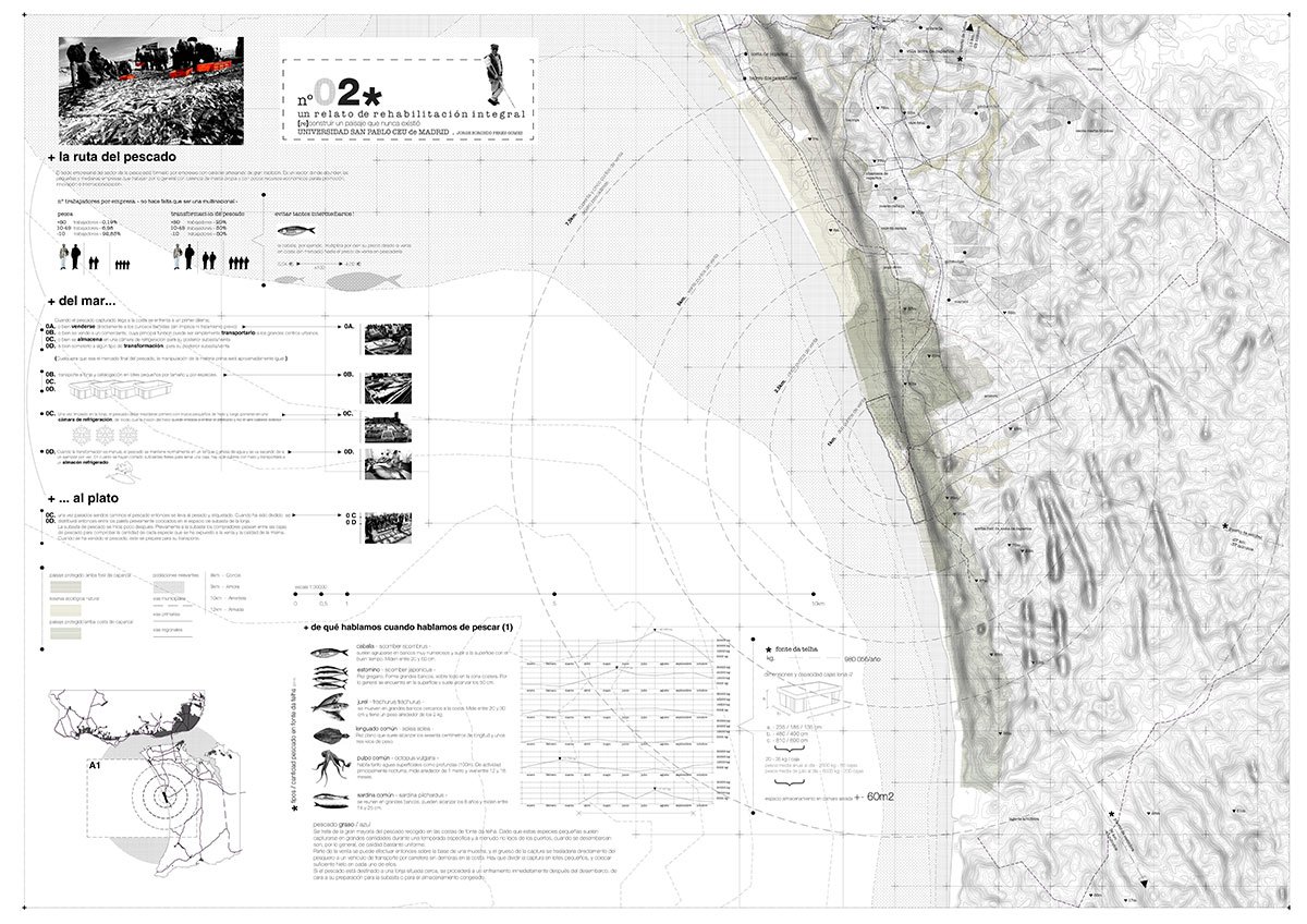 The (Re)Construction Of A Landscape That Never Existed: Inviting Collective Relationships And New Rhythms Of Life In The Portuguese Coastal Village - Fonte Da Telha | Architecture Thesis On Community Development