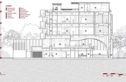 Sagehaus Office Garden | RAD+ar