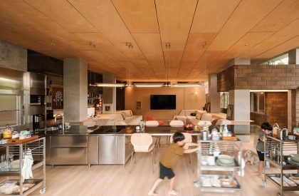 Attic Above Garden | RAD+ar