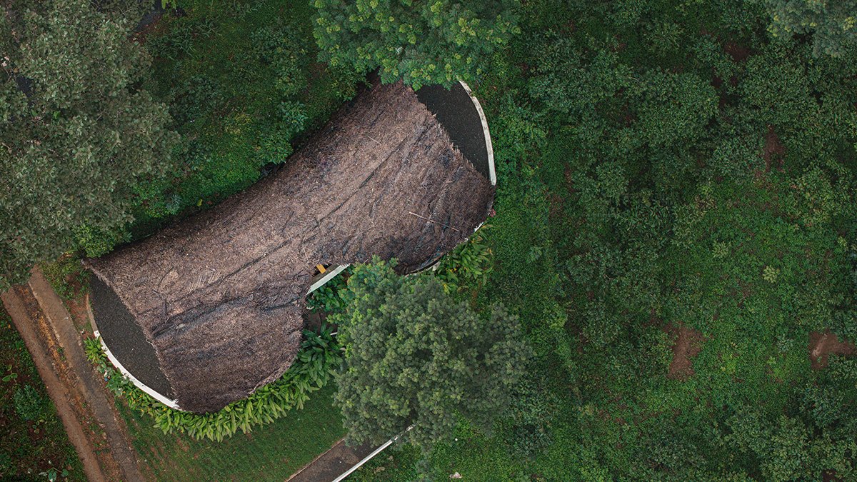 Earth’s Embrace | Raving Dots Studio