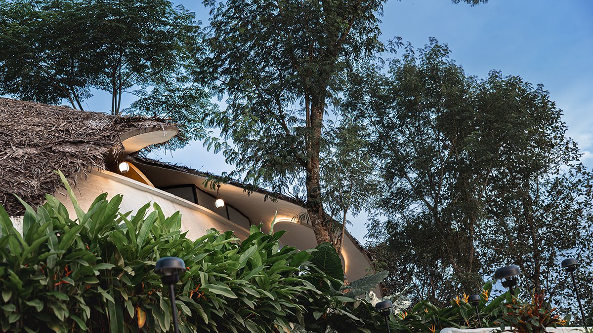 Earth’s Embrace | Raving Dots Studio