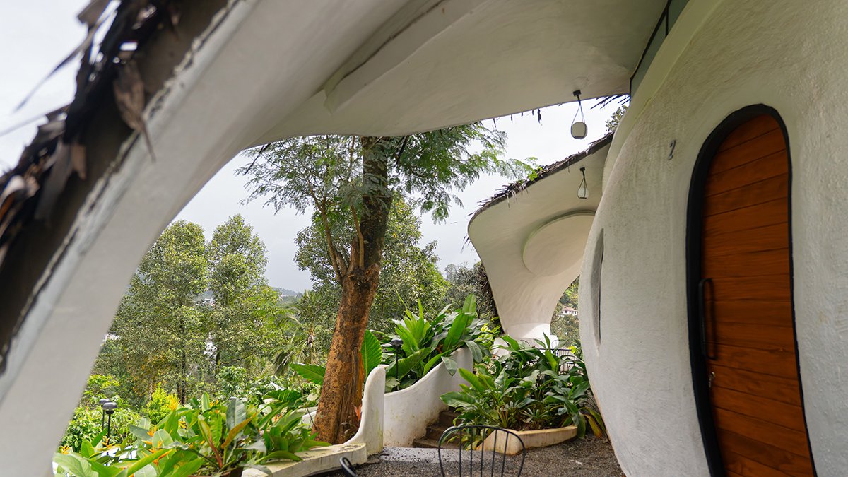 Earth’s Embrace | Raving Dots Studio