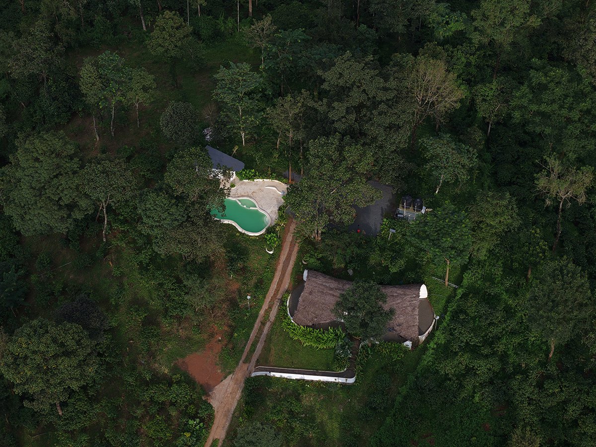 Earth’s Embrace | Raving Dots Studio