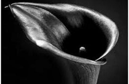 CEPT…Studio-III…Image finalization