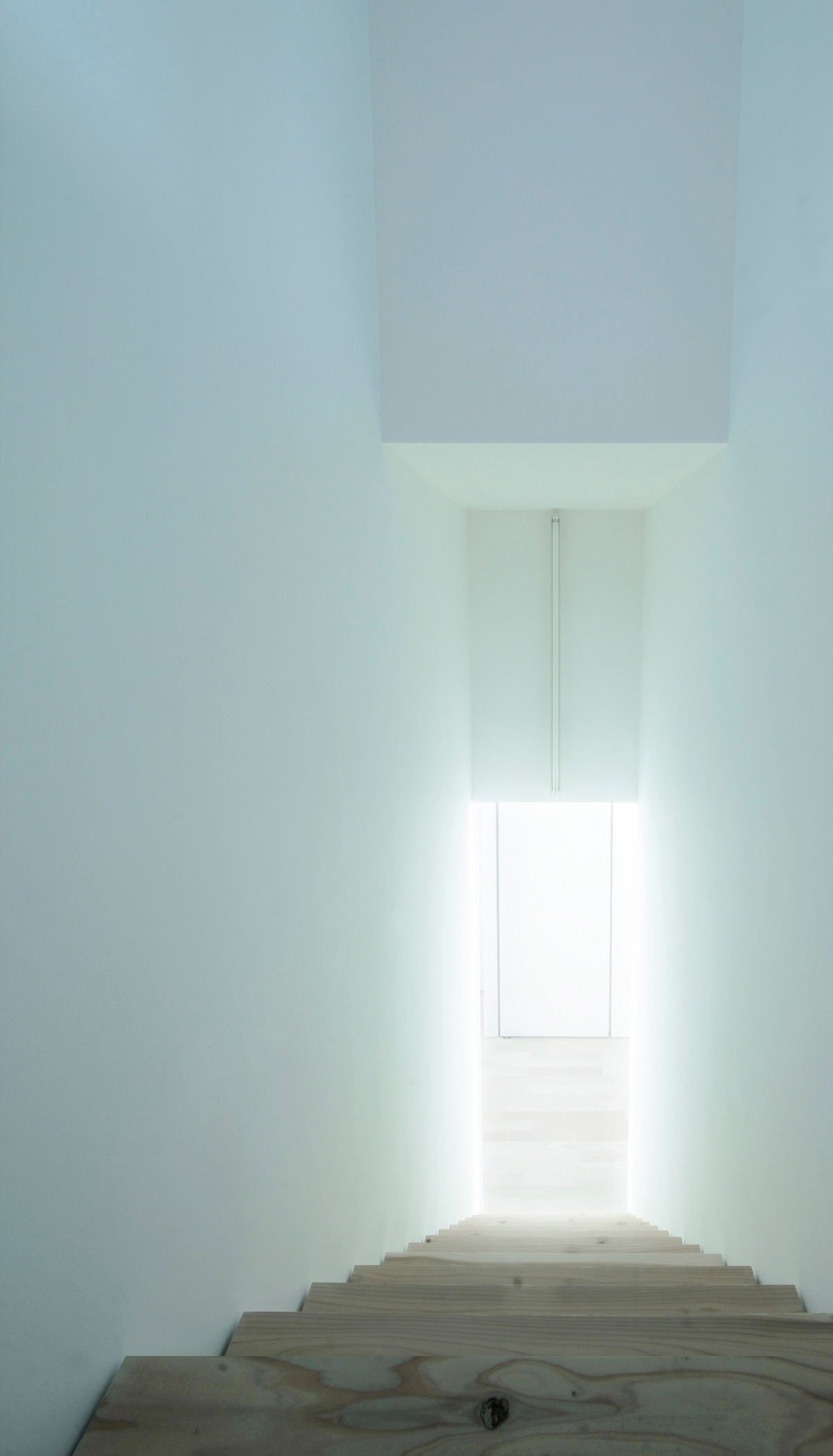 House for Installation | JAM