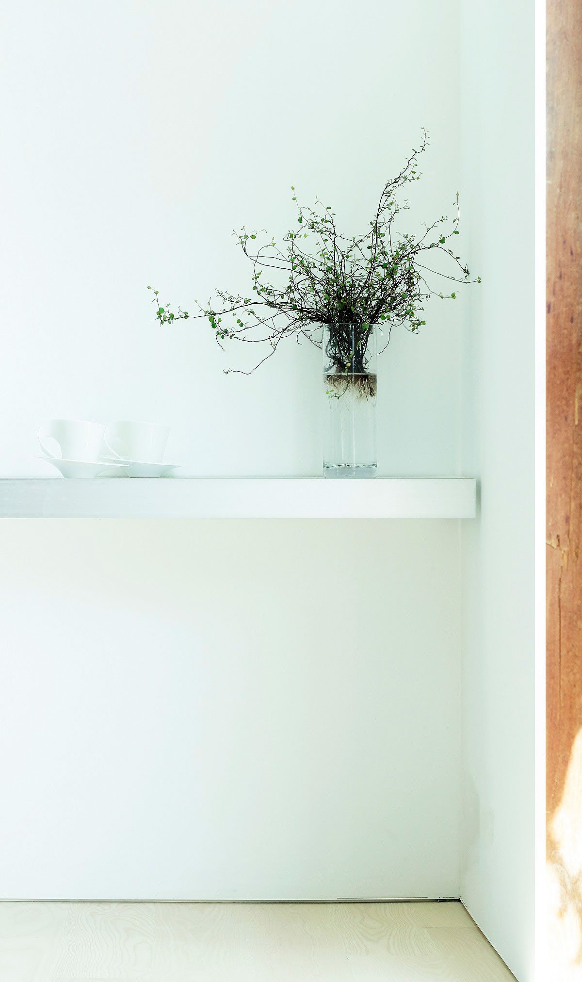 House for Installation | JAM