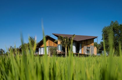The “Ruộng” | H2 Architecture & Interior