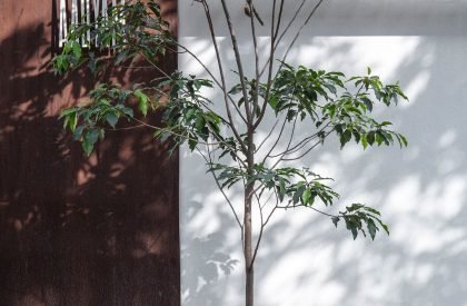 Aadyam | Gaurav Roy Choudhury Architects