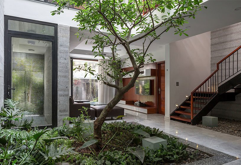 D house | ARO Studio