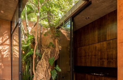 Earthbox | Equipo de Arquitectura