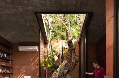 Earthbox | Equipo de Arquitectura
