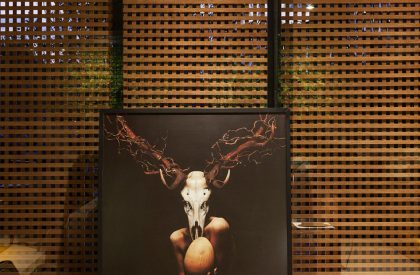 Collector’s Nook | mf + arquitetos