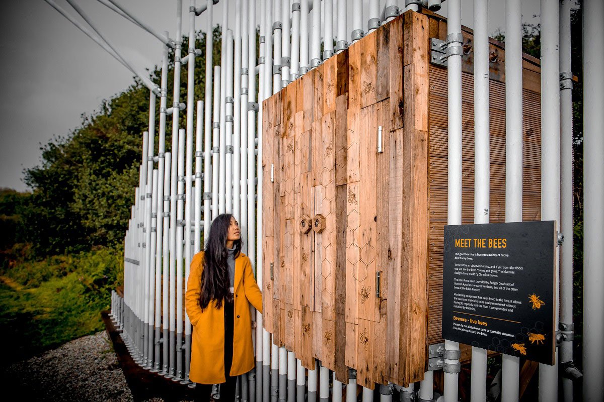 Hive Mind | CAUKIN Studio