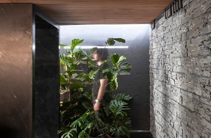 Meia Casa | mf+arquitetos