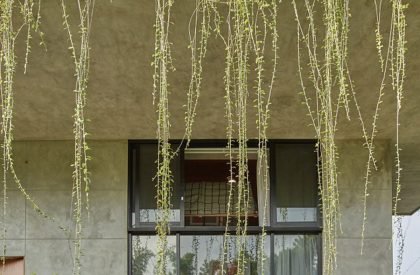 Tresno | Realrich Architecture Workshop