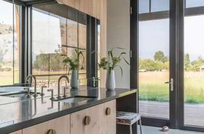 Dogtrot | CLB
