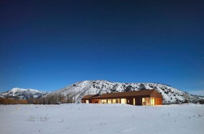 Dogtrot | CLB