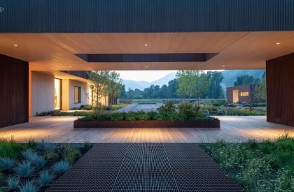 Dogtrot | CLB