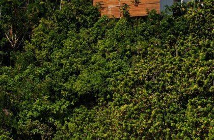 House in Ubatuba | spbr arquitetos