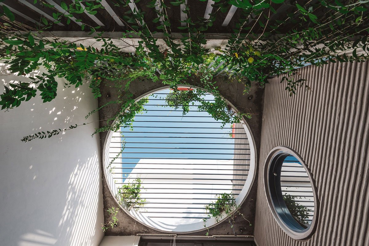 Jungalow | Neogenesis+Studi0261