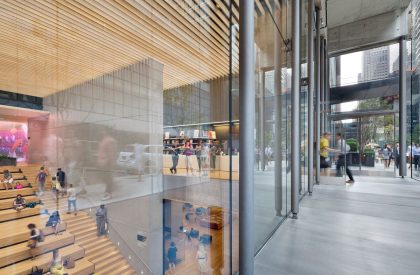 The New York Public Library | TEN Arquitectos