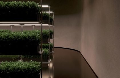 Underground House | Sergey Makhno Architects