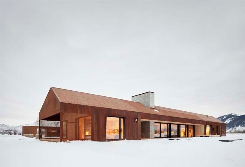 Dogtrot | CLB