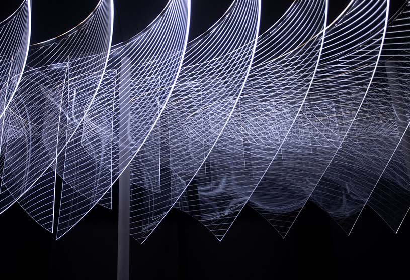 Lines and Motion | MYVN Architecture