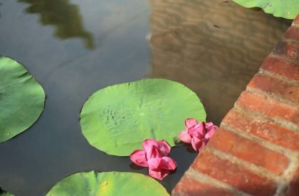 The Brickhaus | Srijit Srinivas – Architects