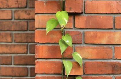 The Brickhaus | Srijit Srinivas – Architects
