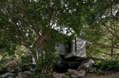 The Creek – Hilltop House | Openbox Architects