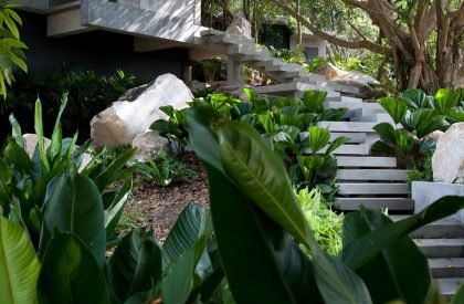 The Creek – Hilltop House | Openbox Architects