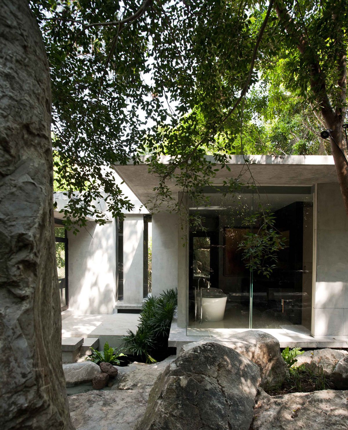 The Creek – Hilltop House | Openbox Architects