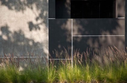 The creek – Theo house | Openbox Architects