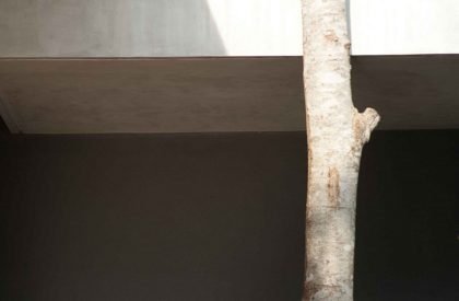 The creek – lake house | Openbox Architects