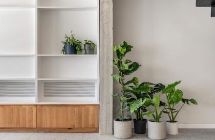 Family House Extension | RUST Architects