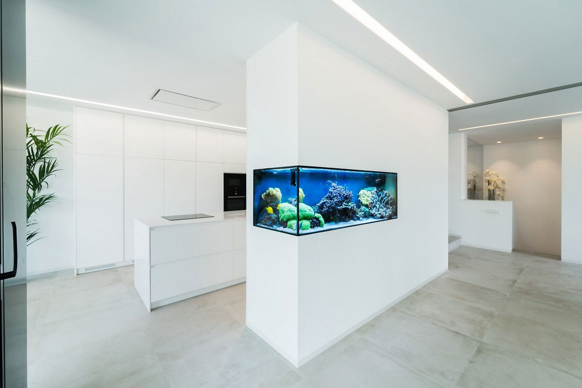 Aquarium House | Ruben Muedra Estudio De Arquitectura